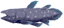 :coelacanth_ex: